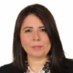 Özge Özer İşevi